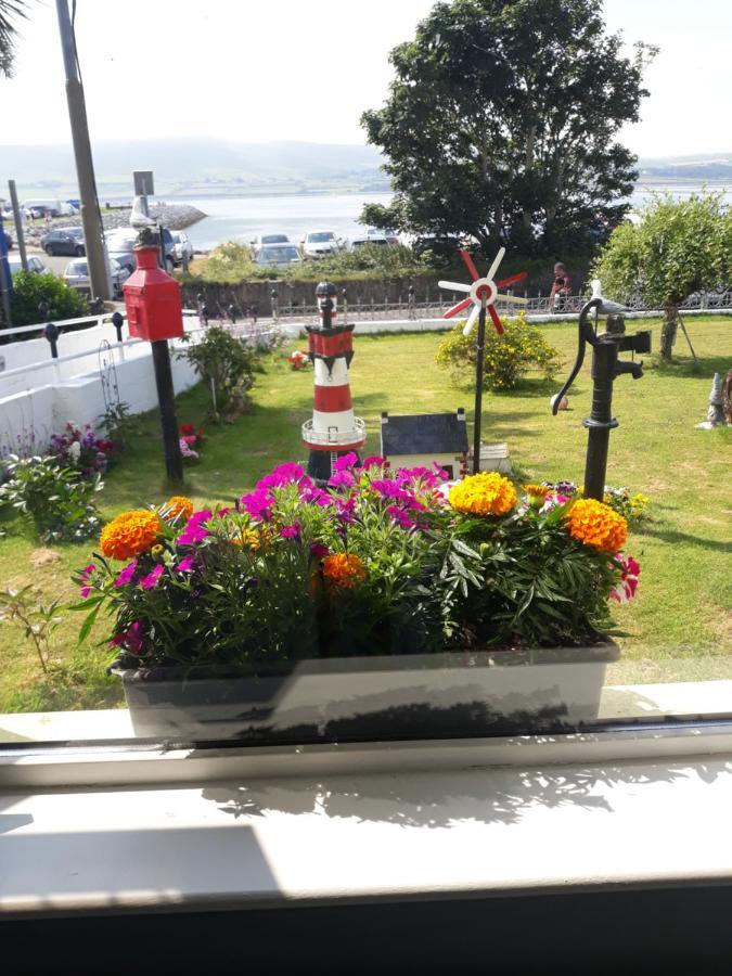 Dingle Wheelhouse Apartman Kültér fotó
